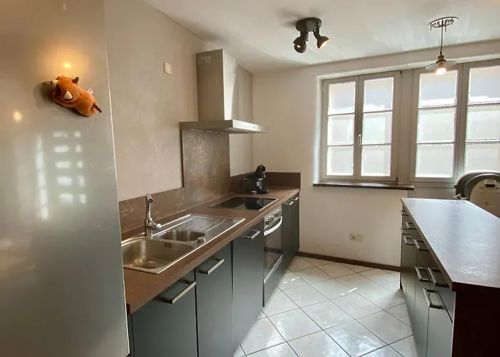 Ferienhaus Dudeldorf Apartment